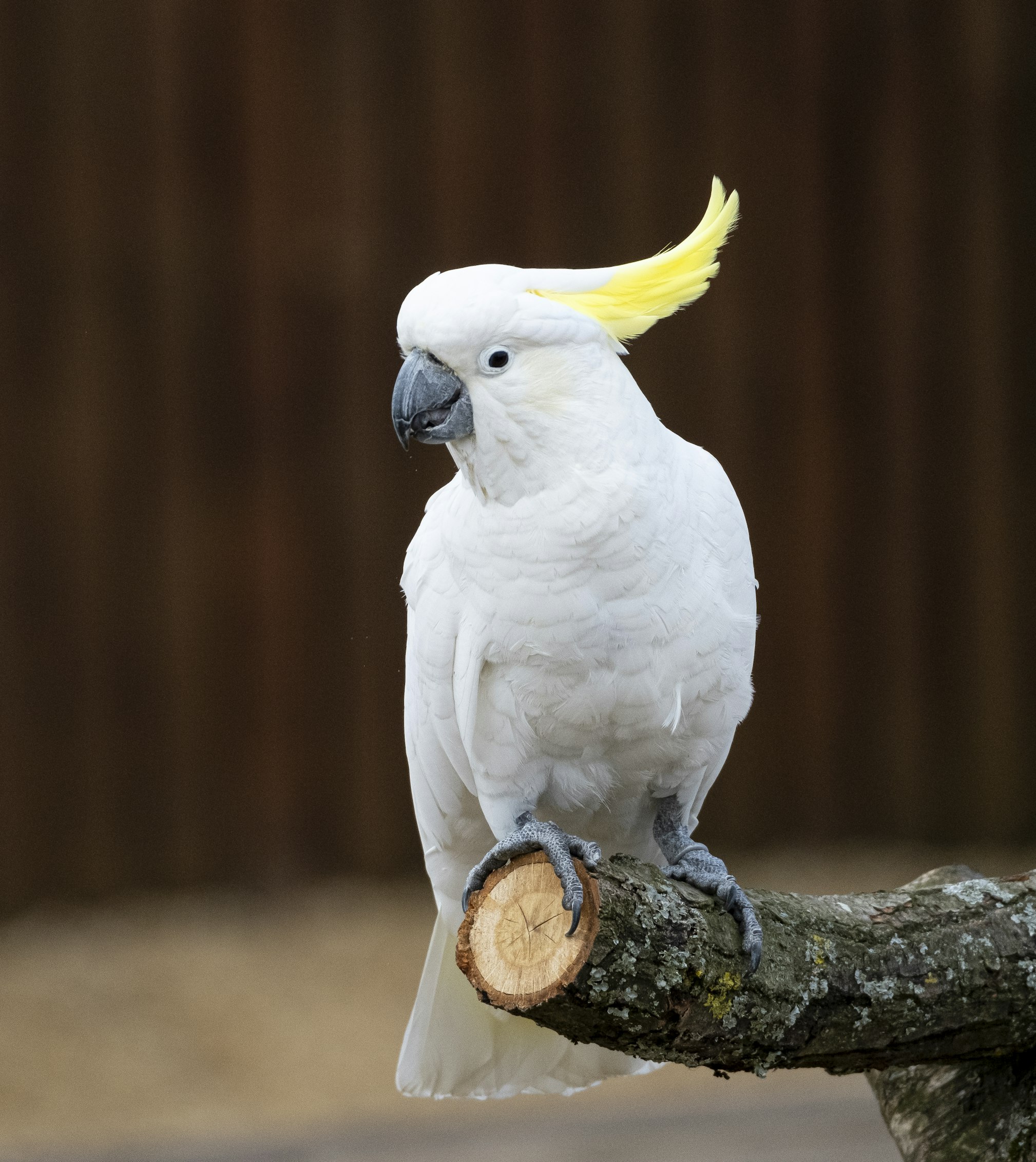 Business Image 3